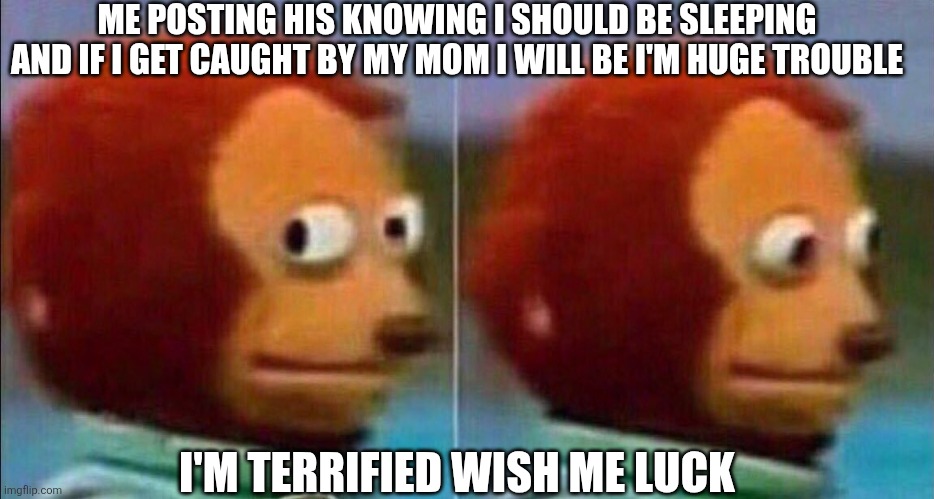 Shhhh..l | ME POSTING HIS KNOWING I SHOULD BE SLEEPING AND IF I GET CAUGHT BY MY MOM I WILL BE I'M HUGE TROUBLE; I'M TERRIFIED WISH ME LUCK | image tagged in monkey looking away | made w/ Imgflip meme maker