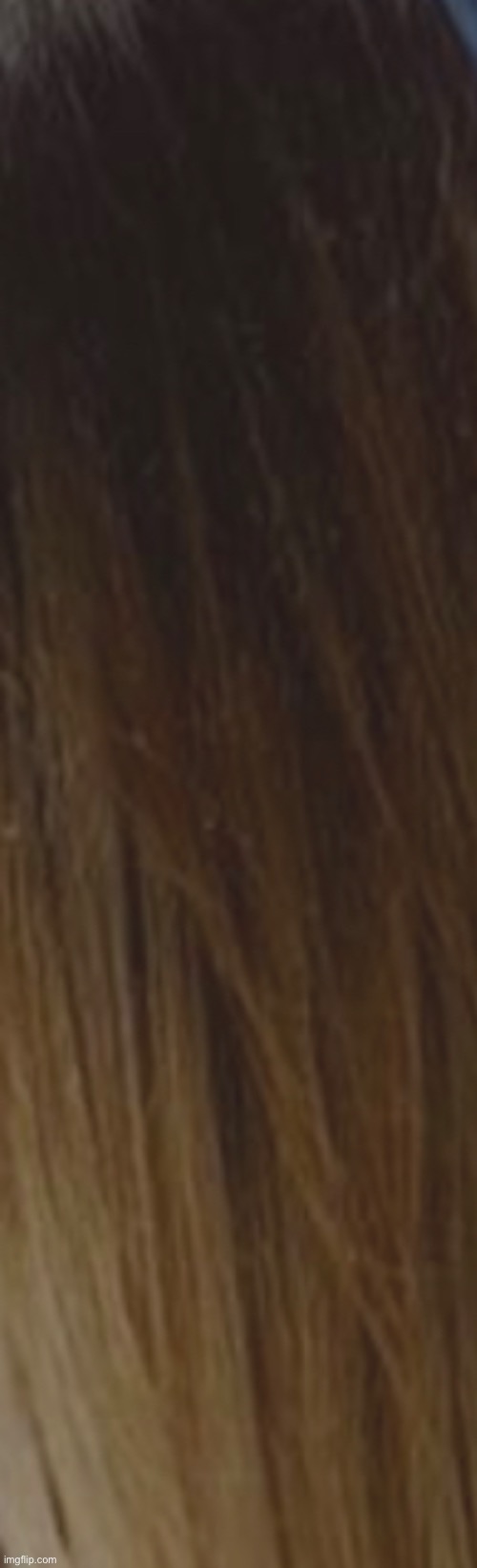 rate my hair | made w/ Imgflip meme maker