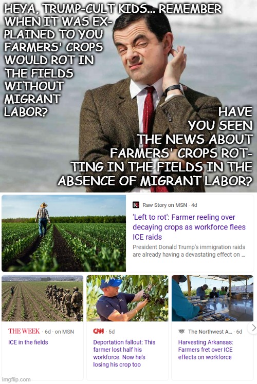 You refused to listen. And now your Orange Moron's policies are making the U.S. more dependent on food imports than ever. | HEYA, TRUMP-CULT KIDS... REMEMBER
WHEN IT WAS EX-
PLAINED TO YOU
FARMERS' CROPS
WOULD ROT IN
THE FIELDS
WITHOUT
MIGRANT
LABOR? HAVE
YOU SEEN
THE NEWS ABOUT
FARMERS' CROPS ROT-
TING IN THE FIELDS IN THE
ABSENCE OF MIGRANT LABOR? | image tagged in mr bean facebook like,trump unfit unqualified dangerous,idiot,whom controls the food controls the people | made w/ Imgflip meme maker