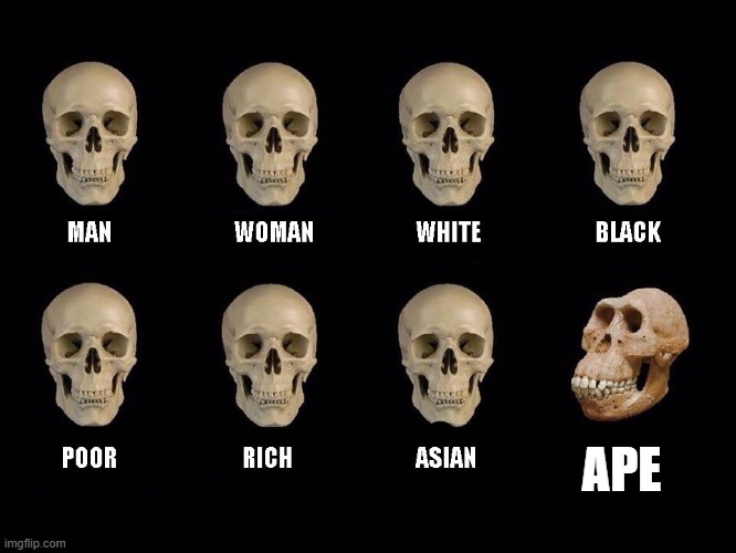 empty skulls of truth | APE | image tagged in empty skulls of truth | made w/ Imgflip meme maker