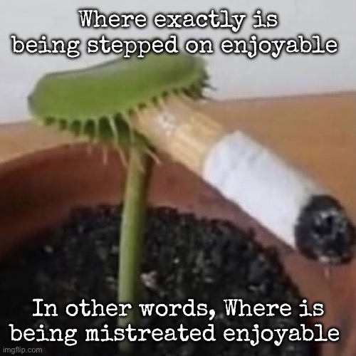 plant weeds | Where exactly is being stepped on enjoyable; In other words, Where is being mistreated enjoyable | image tagged in plant weeds | made w/ Imgflip meme maker