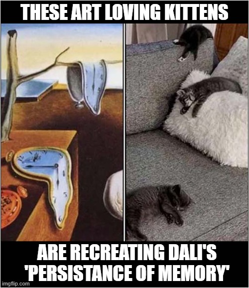 Melting Watches And 'Melting' Kittens | THESE ART LOVING KITTENS; ARE RECREATING DALI'S
'PERSISTANCE OF MEMORY' | image tagged in cats,kittens,salvador dali,painting,persistance of memory | made w/ Imgflip meme maker
