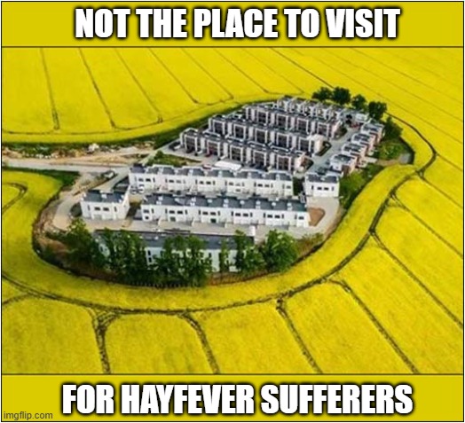 That Looks Like A Lot Of Pollen ! | NOT THE PLACE TO VISIT; FOR HAYFEVER SUFFERERS | image tagged in hayfever,surrounded,polen | made w/ Imgflip meme maker