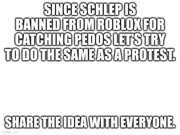 SINCE SCHLEP IS BANNED FROM ROBLOX FOR CATCHING PEDOS LET'S TRY TO DO THE SAME AS A PROTEST. SHARE THE IDEA WITH EVERYONE. | made w/ Imgflip meme maker