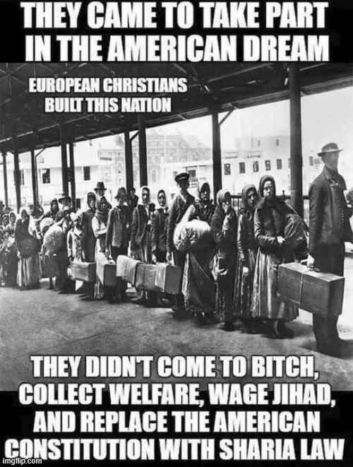 Who Made it ACTUALLY happen | image tagged in white replacement theory,racism,actualracism,trump,conservative | made w/ Imgflip meme maker