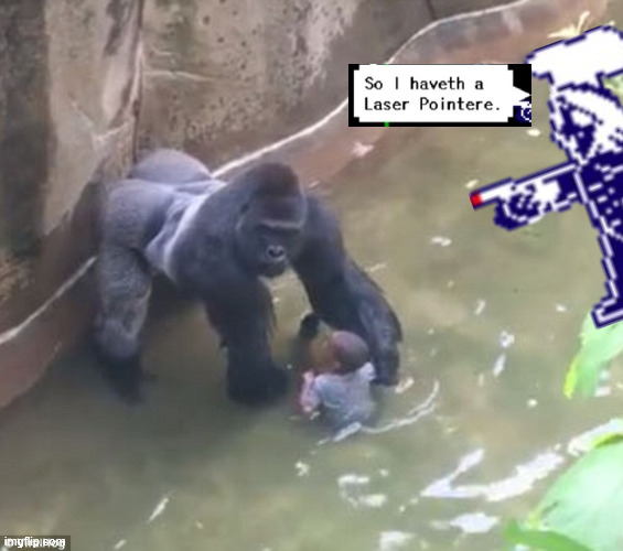 Harambe | image tagged in harambe | made w/ Imgflip meme maker