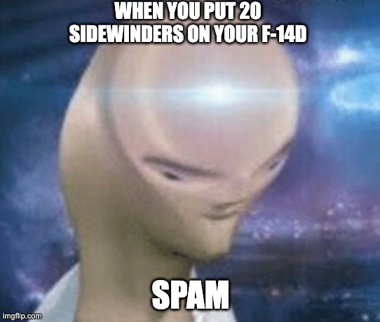 SMORT | WHEN YOU PUT 20 SIDEWINDERS ON YOUR F-14D; SPAM | image tagged in smort | made w/ Imgflip meme maker