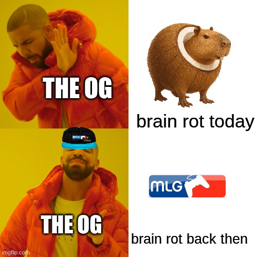 bro someone needs to bring mlg back | THE OG; brain rot today; THE OG; brain rot back then | image tagged in memes,drake hotline bling | made w/ Imgflip meme maker