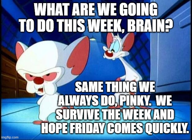 Survive the week | WHAT ARE WE GOING TO DO THIS WEEK, BRAIN? SAME THING WE ALWAYS DO, PINKY.  WE SURVIVE THE WEEK AND HOPE FRIDAY COMES QUICKLY. | image tagged in pinky and the brain monday | made w/ Imgflip meme maker
