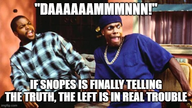 Ice Cube Damn | "DAAAAAAMMMNNN!" IF SNOPES IS FINALLY TELLING THE TRUTH, THE LEFT IS IN REAL TROUBLE | image tagged in ice cube damn | made w/ Imgflip meme maker