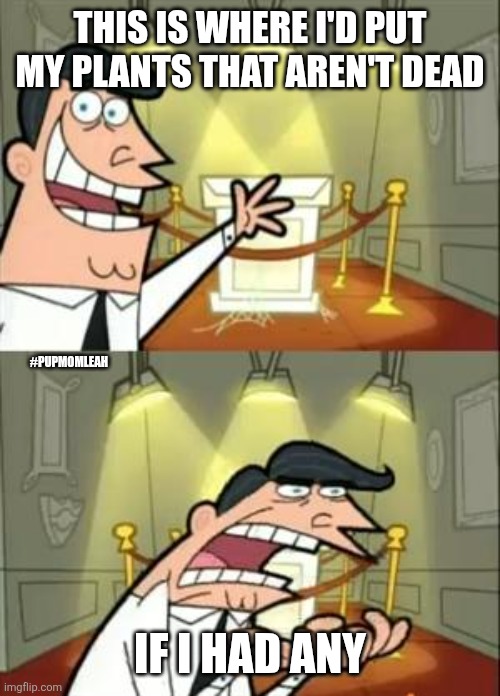 Champion of NO plants! | THIS IS WHERE I'D PUT MY PLANTS THAT AREN'T DEAD; #PUPMOMLEAH; IF I HAD ANY | image tagged in memes,this is where i'd put my trophy if i had one | made w/ Imgflip meme maker