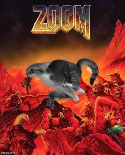 *Trying to gain traction on hardwood floor intensifies* | image tagged in memes,cats,funny,repost,doom | made w/ Imgflip meme maker