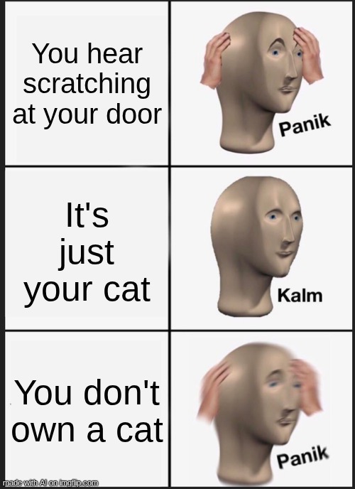 Panik Kalm Panik Meme | You hear scratching at your door; It's just your cat; You don't own a cat | image tagged in memes,panik kalm panik | made w/ Imgflip meme maker