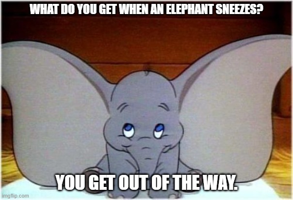 Daily Bad Dad Joke August 11, 2025 | WHAT DO YOU GET WHEN AN ELEPHANT SNEEZES? YOU GET OUT OF THE WAY. | image tagged in dumbo | made w/ Imgflip meme maker
