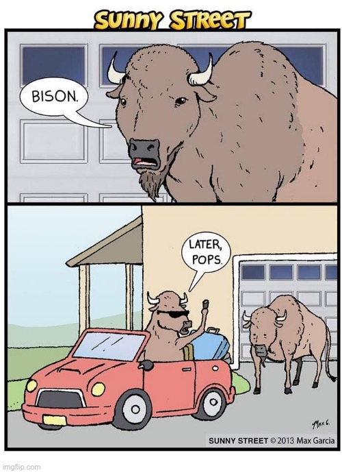 image tagged in comics,sunny street,bison,moving out | made w/ Imgflip meme maker