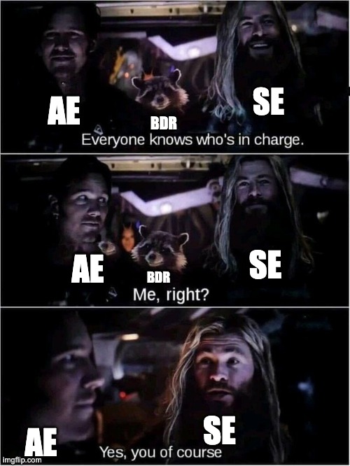 In Charge Thor Starlord AE/SE | SE; AE; BDR; SE; AE; BDR; SE; AE | image tagged in in charge thor starlord | made w/ Imgflip meme maker