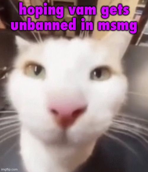 gonna drop this here and then vanish again | hoping vam gets unbanned in msmg | image tagged in the stare | made w/ Imgflip meme maker