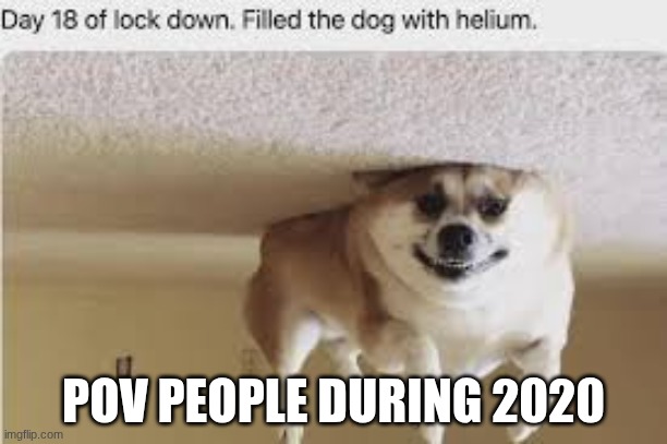 faks | POV PEOPLE DURING 2020 | image tagged in lockdown | made w/ Imgflip meme maker