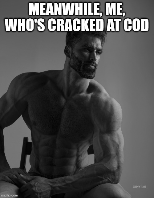 Giga Chad | MEANWHILE, ME, WHO'S CRACKED AT COD | image tagged in giga chad | made w/ Imgflip meme maker