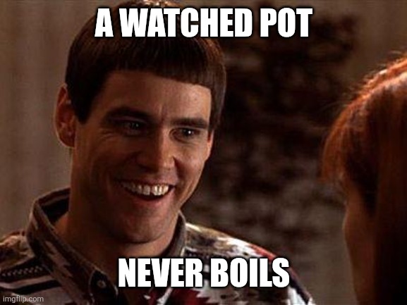 Watched | A WATCHED POT; NEVER BOILS | image tagged in dumb and dumber,funny memes | made w/ Imgflip meme maker