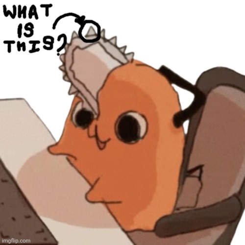 Like what we call it in singular | image tagged in pochita gaming | made w/ Imgflip meme maker