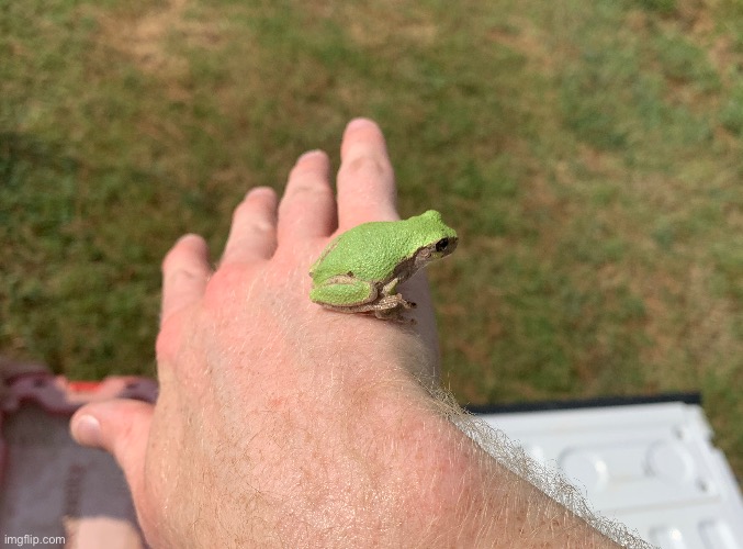 Frug | made w/ Imgflip meme maker