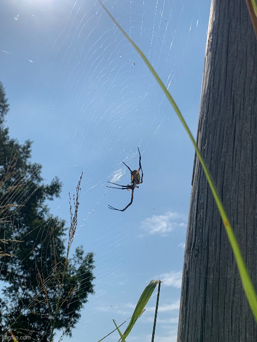 What fun | made w/ Imgflip meme maker