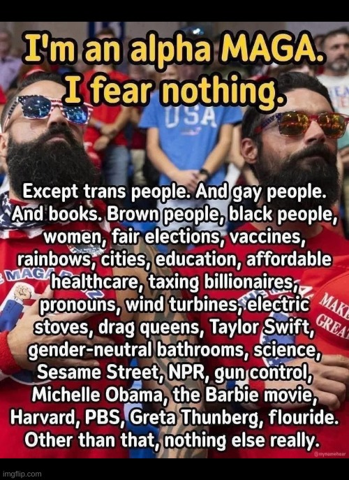 MAGA: The Fearless | image tagged in maga,cowards | made w/ Imgflip meme maker
