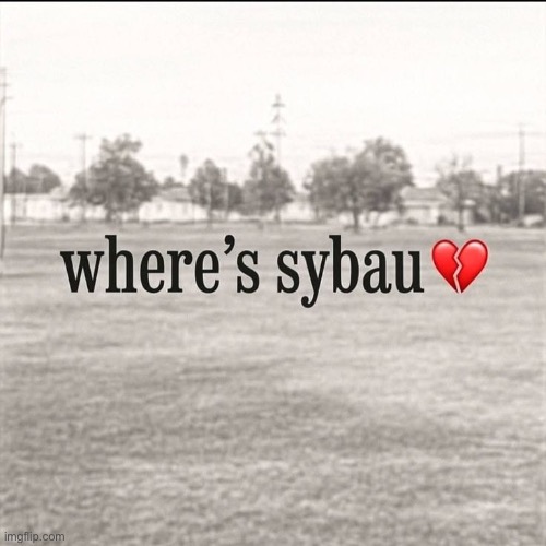 Where's sybau | image tagged in where's sybau | made w/ Imgflip meme maker