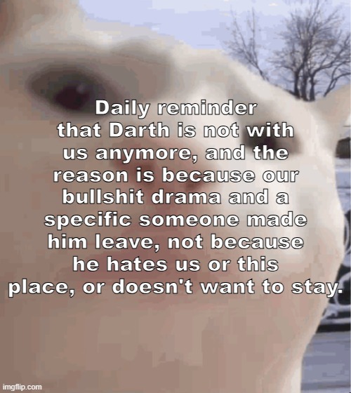 ... | Daily reminder that Darth is not with us anymore, and the reason is because our bullshit drama and a specific someone made him leave, not because he hates us or this place, or doesn't want to stay. | image tagged in i showed you my,sans of topic | made w/ Imgflip meme maker