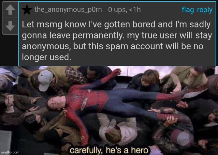 image tagged in carefully he's a hero | made w/ Imgflip meme maker