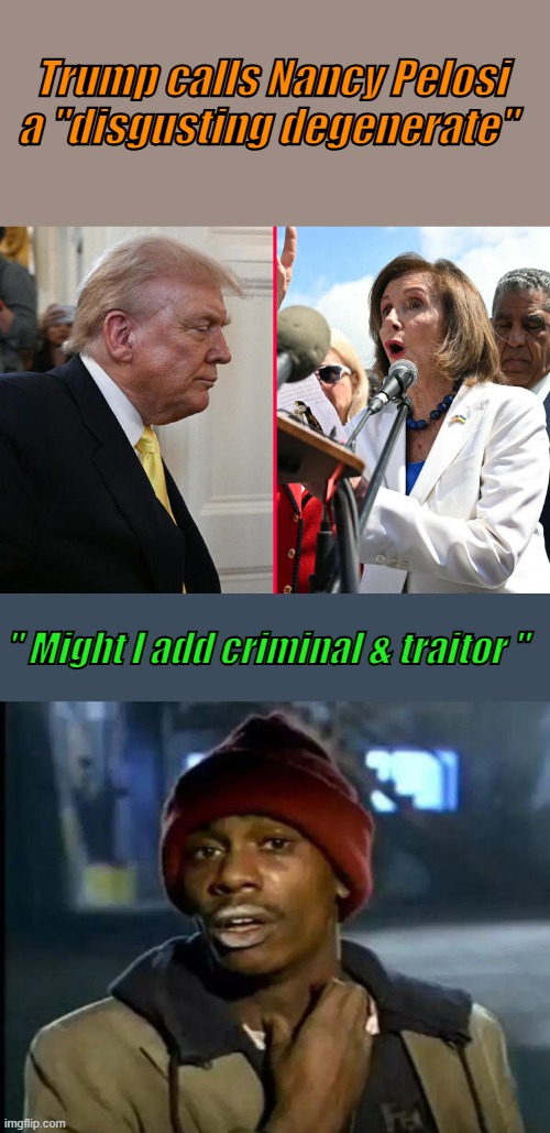 Shes a Typical dem politician. Roten to the core. | Trump calls Nancy Pelosi a "disgusting degenerate"; " Might I add criminal & traitor " | image tagged in memes,y'all got any more of that | made w/ Imgflip meme maker