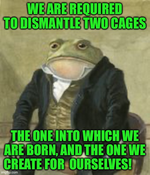 Colonel Toad | WE ARE REQUIRED TO DISMANTLE TWO CAGES; THE ONE INTO WHICH WE ARE BORN, AND THE ONE WE CREATE FOR  OURSELVES! | image tagged in colonel toad | made w/ Imgflip meme maker