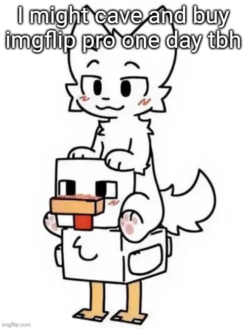 Boykisser Jockey | I might cave and buy imgflip pro one day tbh | image tagged in boykisser jockey | made w/ Imgflip meme maker