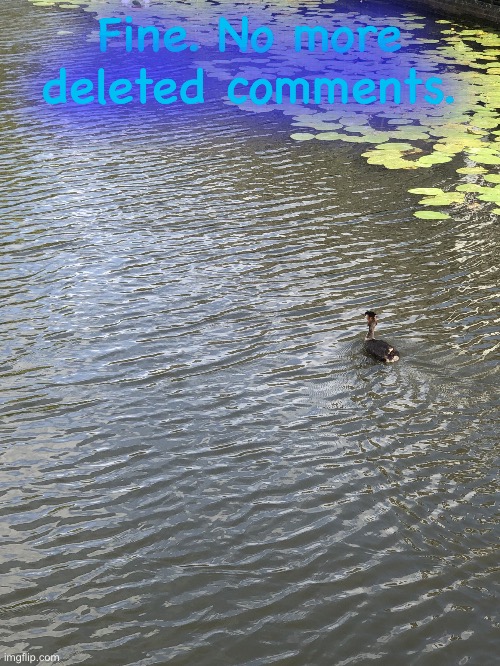 Duck | Fine. No more deleted comments. | image tagged in duck | made w/ Imgflip meme maker