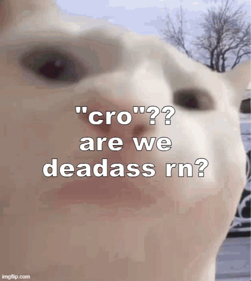 i showed you my | "cro"?? are we deadass rn? | image tagged in i showed you my | made w/ Imgflip meme maker