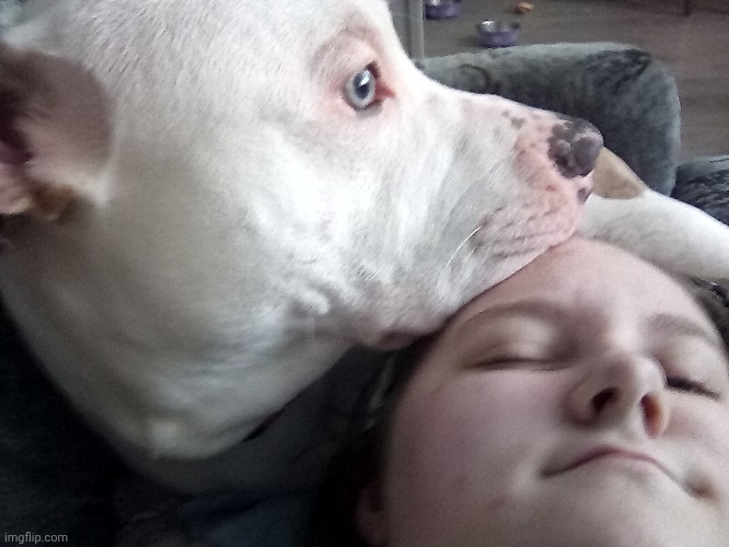 Help | made w/ Imgflip meme maker