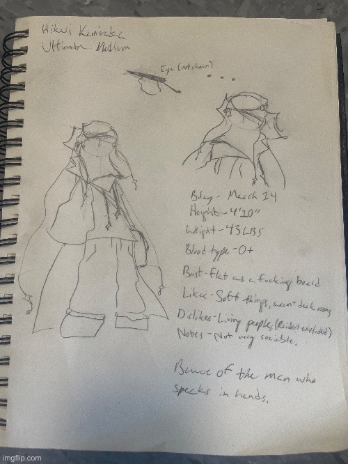 Btw, MAIN OC UPDATED AGAIN, faces are overrated | image tagged in e | made w/ Imgflip meme maker