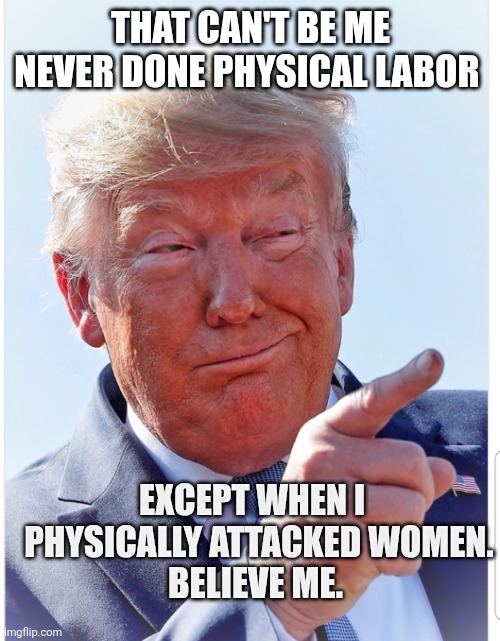 Trump pointing | THAT CAN'T BE ME
NEVER DONE PHYSICAL LABOR EXCEPT WHEN I 
 PHYSICALLY ATTACKED WOMEN.
BELIEVE ME. | image tagged in trump pointing | made w/ Imgflip meme maker