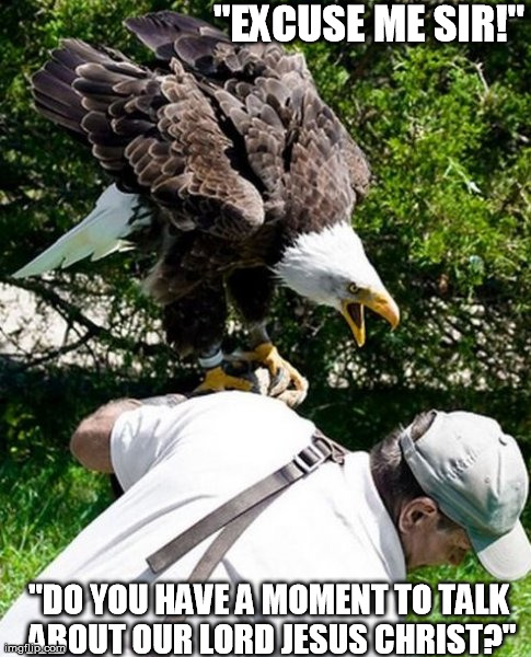"EXCUSE ME SIR!" "DO YOU HAVE A MOMENT TO TALK ABOUT OUR LORD JESUS CHRIST?" | image tagged in eagle attack,animal attack | made w/ Imgflip meme maker