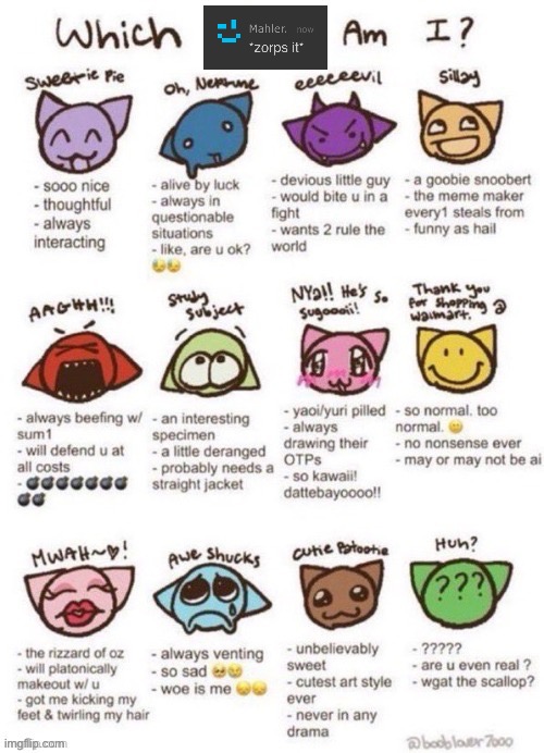 which moot am i | image tagged in which moot am i | made w/ Imgflip meme maker