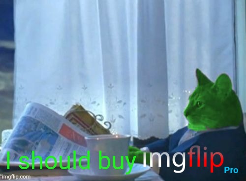 I Should Buy a Boat RayCat | Pro I should buy | image tagged in i should buy a boat raycat | made w/ Imgflip meme maker