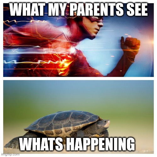 Fast vs. Slow | WHAT MY PARENTS SEE WHATS HAPPENING | image tagged in fast vs slow | made w/ Imgflip meme maker