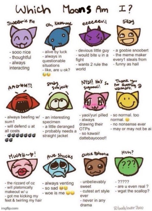 which moot am i | image tagged in which moot am i | made w/ Imgflip meme maker