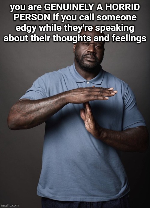 Shaq timeout | you are GENUINELY A HORRID PERSON if you call someone edgy while they're speaking about their thoughts and feelings | image tagged in shaq timeout | made w/ Imgflip meme maker