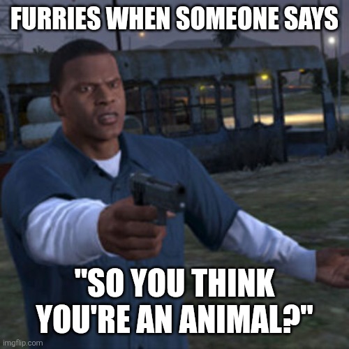 Franklin pointing a gun | FURRIES WHEN SOMEONE SAYS; "SO YOU THINK YOU'RE AN ANIMAL?" | image tagged in franklin pointing a gun,furry,memes,gta | made w/ Imgflip meme maker
