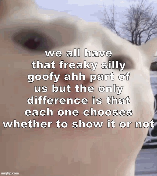 i showed you my | we all have that freaky silly goofy ahh part of us but the only difference is that each one chooses whether to show it or not | image tagged in i showed you my | made w/ Imgflip meme maker