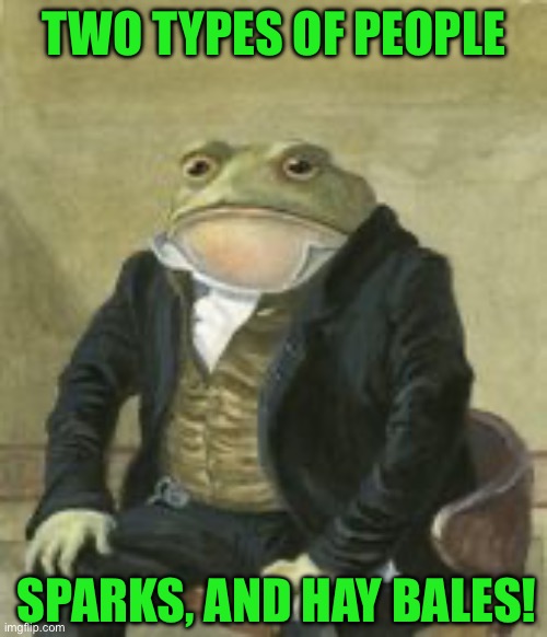 Colonel Toad | TWO TYPES OF PEOPLE; SPARKS, AND HAY BALES! | image tagged in colonel toad | made w/ Imgflip meme maker