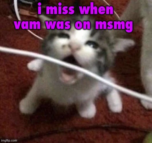 why was she even banned when her account was hacked | i miss when vam was on msmg | image tagged in i love eating cables | made w/ Imgflip meme maker