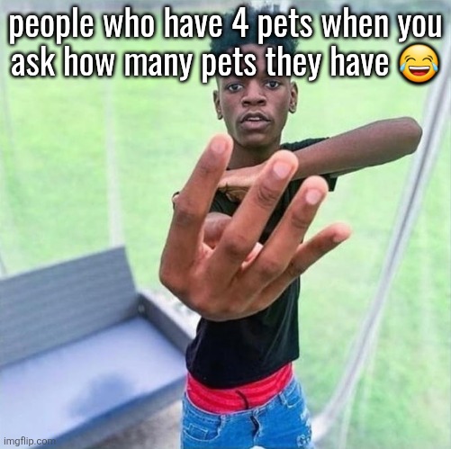 Guy holding up 4 | people who have 4 pets when you
ask how many pets they have 😂; SUBTRACT | image tagged in guy holding up 4 | made w/ Imgflip meme maker